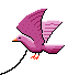Bird-Kite