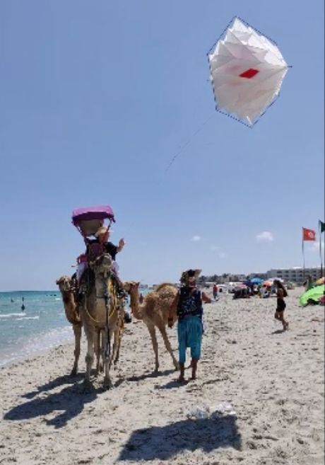 Kiting on
                    Dromedar