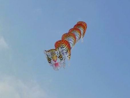 HUANG
                    YunFen's well known Tiger