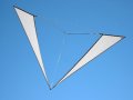 Vectror - a minimalistic
                    kite