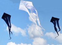 F-Tail
                    XXL light