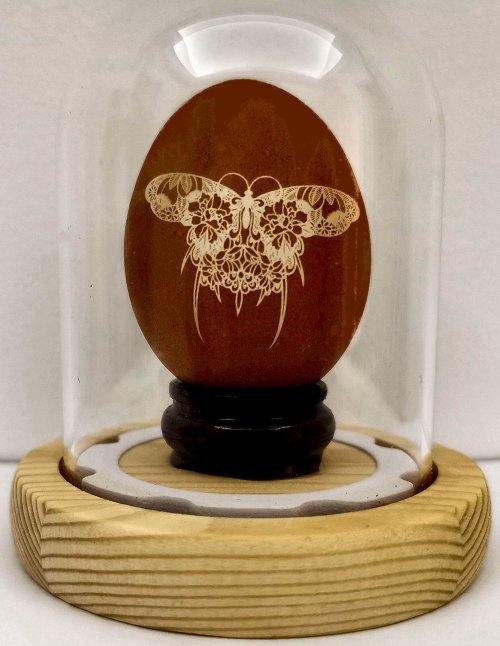 Egg, Butterfly Kite