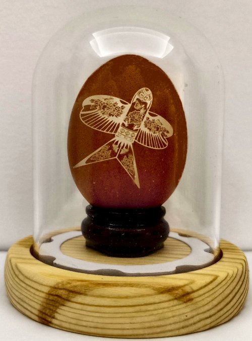 Egg, Swallow Kite