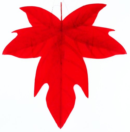 Ahornblatt /Maple Leaf