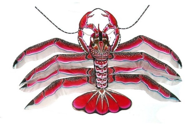 Languste / Lobster