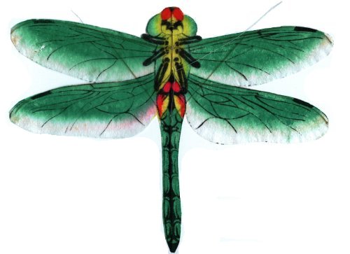 Libelle (WeiFang) /  Dragonfly (Weifang)