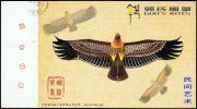 Adler / Eagle Kite