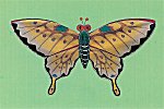 Schmetterling - "Butterfly Kite"