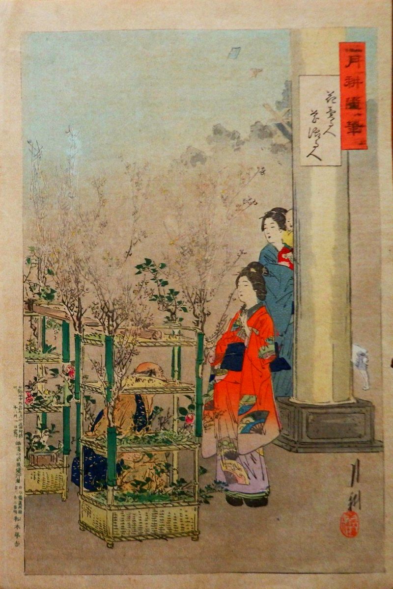 GEKKO
                - Beauties and the Flower Seller (A)