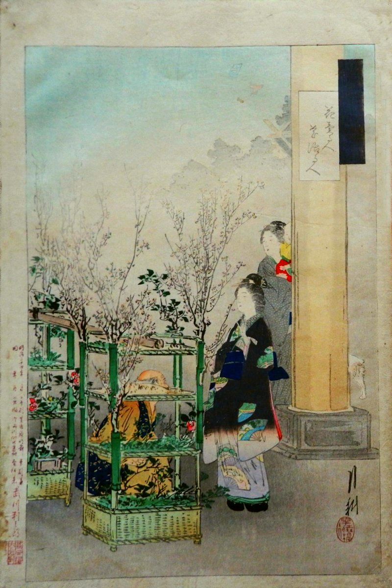 GEKKO
                - Beauties and the Flower Seller (B)