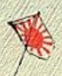Coat-of-Arms Kite
                  (Monsh-tako); five angled kite
