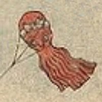 Octopus-Kite (Tako-Tako)