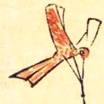 Tonbi tako by
                  Hokusai from "Mitsui Stores"