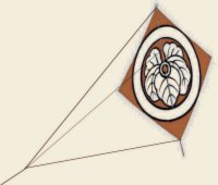 Tosa
                  Kite