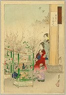 GEKKO, The Beauty and the Flower
Seller